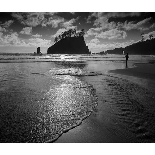 Sederquist, Betty 아티스트의 Usa-Washington State A beachgoer strolling Second Beach in late afternoon작품입니다.